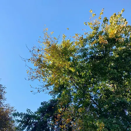 Prázdninový dům Little *